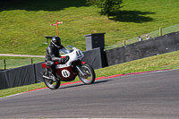 Vintage-motorcycle-club;eventdigitalimages;mallory-park;mallory-park-trackday-photographs;no-limits-trackdays;peter-wileman-photography;trackday-digital-images;trackday-photos;vmcc-festival-1000-bikes-photographs